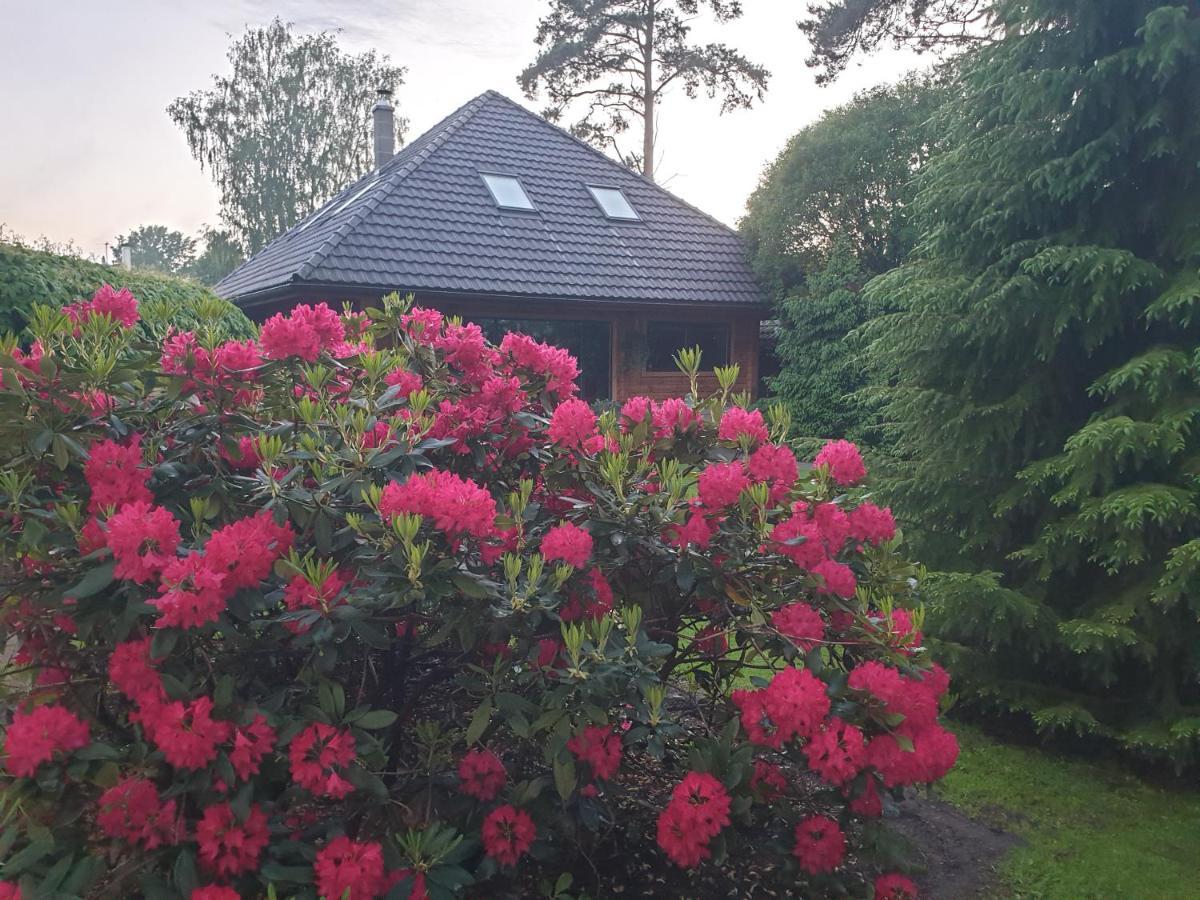 Bitte Three Bedroom Design Cottage Jurmala Exterior photo